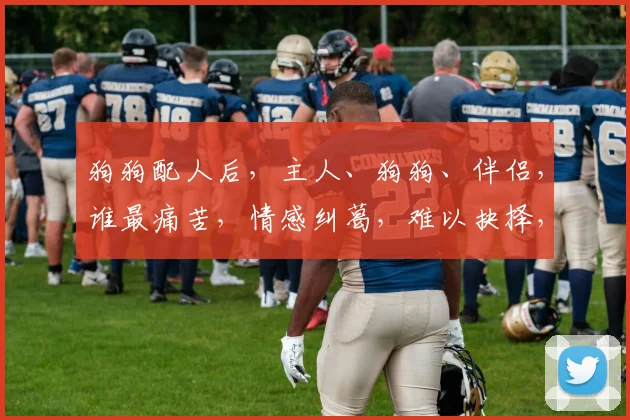 狗狗配人后，主人、狗狗、伴侣，谁最痛苦，情感纠葛，难以抉择，爱恨交织。