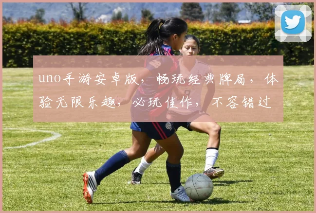 uno手游安卓版，畅玩经典牌局，体验无限乐趣，必玩佳作，不容错过