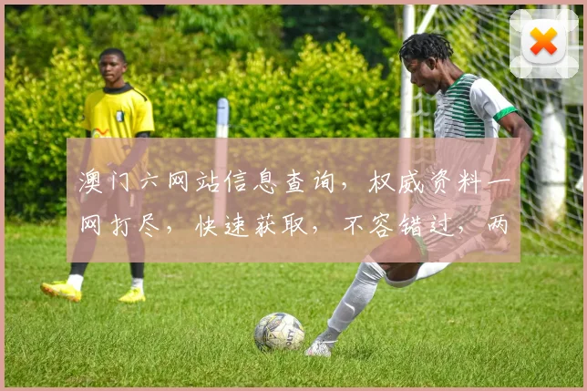 澳门六网站信息查询，权威资料一网打尽，快速获取，不容错过，两网一平台，便捷查询