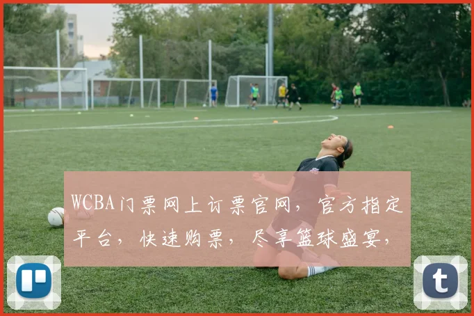WCBA门票网上订票官网，官方指定平台，快速购票，尽享篮球盛宴，不容错过